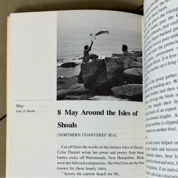 A Year with New England’s Birds A Guide to 25 Field Trips Bird New England - Picture 9 of 13